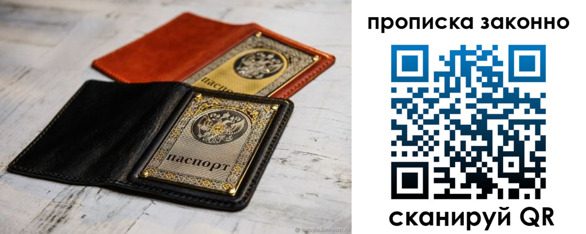 прописка регистрация в Курской области