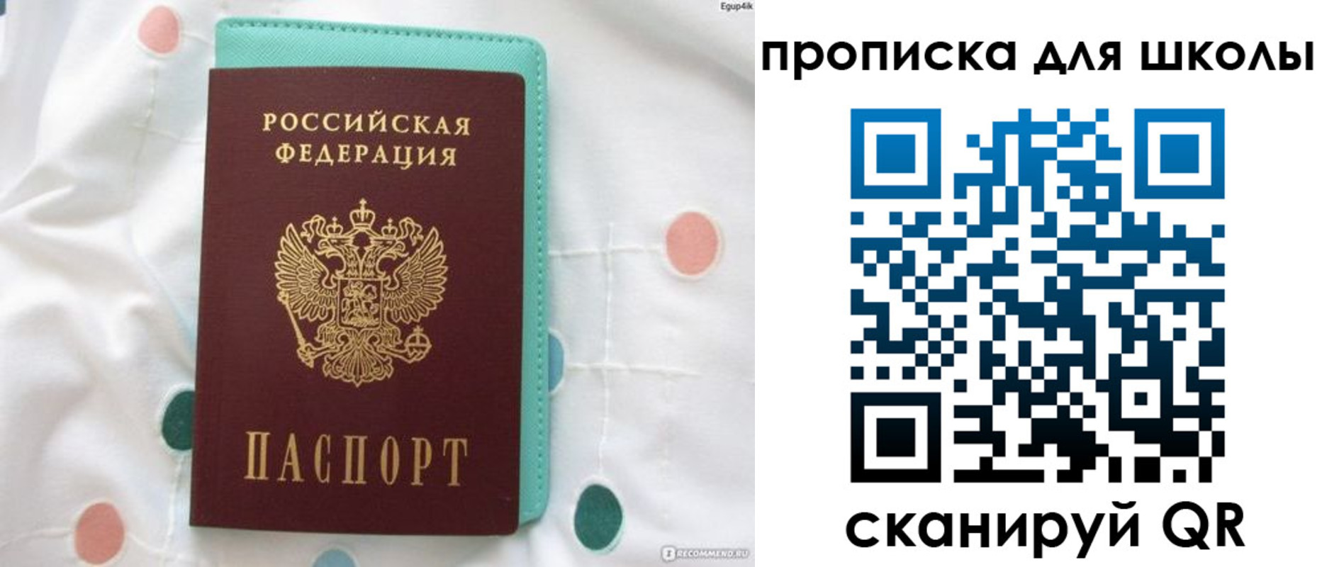 временная регистрация для всех в Курской области