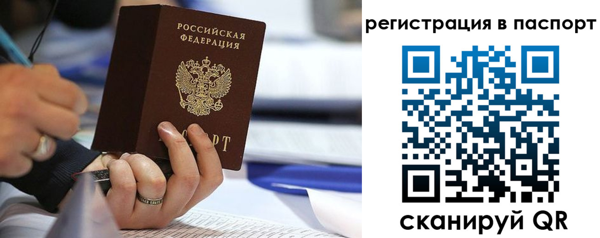 временная регистрация поиск в Курской области